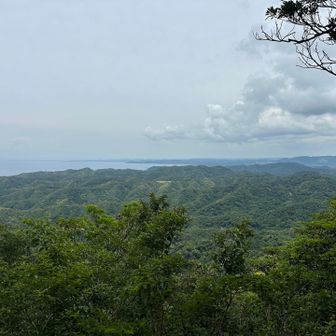 山頂には続々とハイカーさんがやってきます。以前は山頂まで来る人は少なかったのに、クマなし県だからか？人気のお山になりましたね。