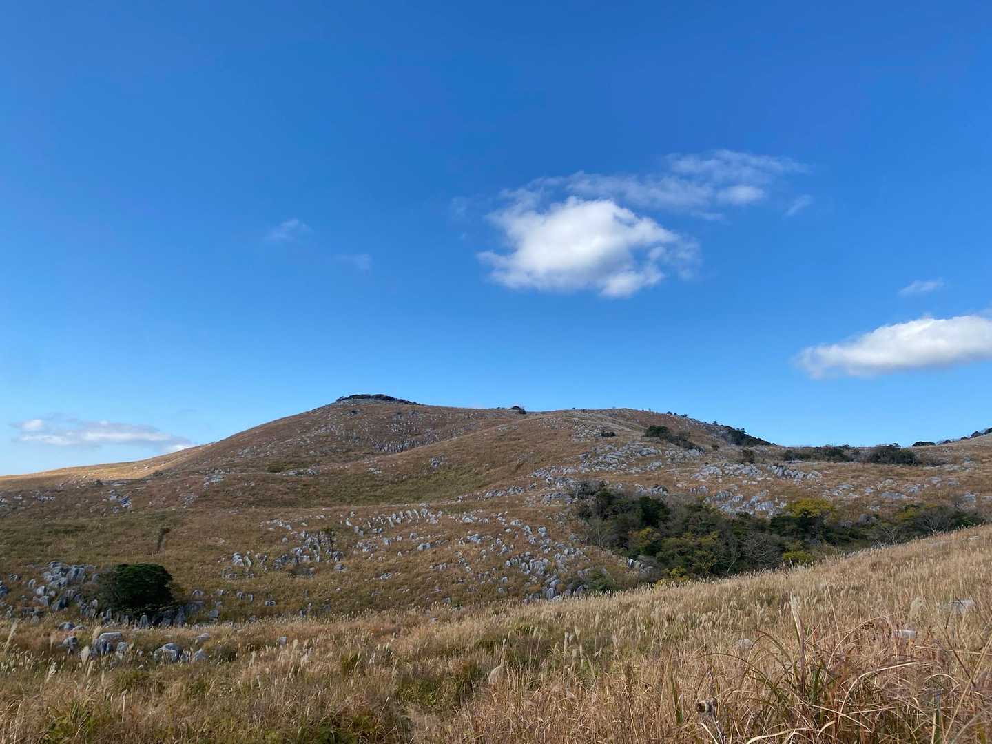 吹上峠-大平山-四方台 縦走コースの写真