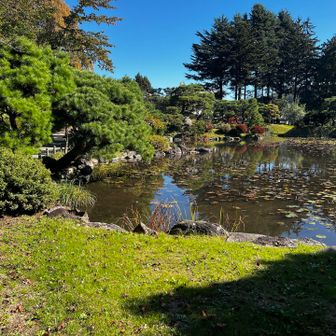 盛岡中央公民館にある池
もう紅葉は終わり🍁