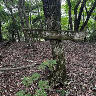 南北の鞍部で、北に北千丈寺山、南に南千丈寺山(千丈寺山)の分岐になっている。