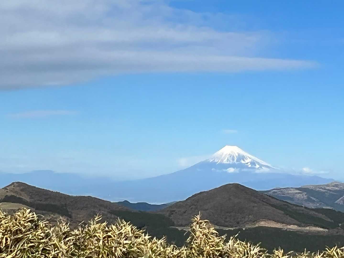大曲茶屋バス停-土肥峠-伽藍山-古稀山-達磨山-小達磨山- 縦走コースの写真