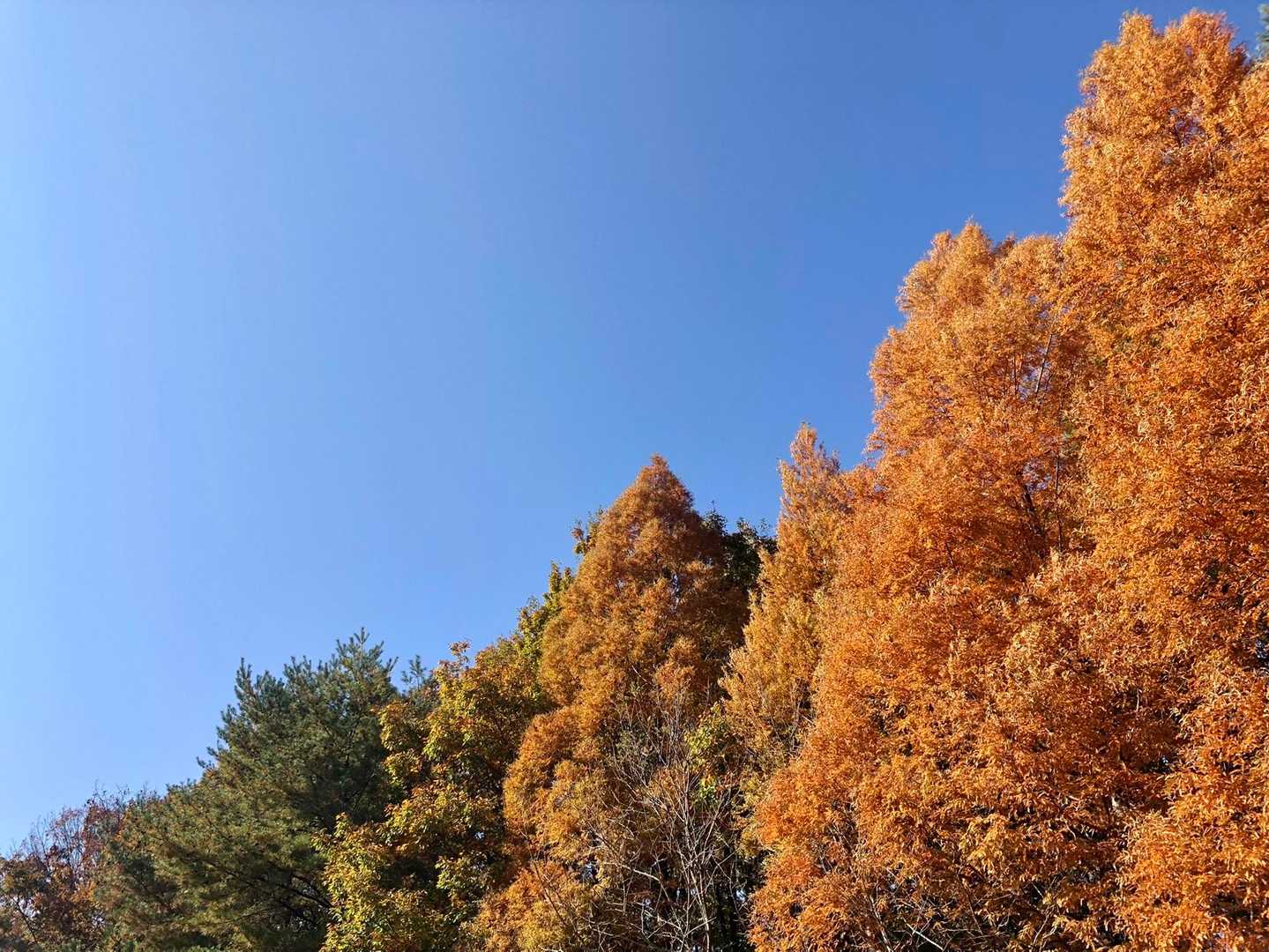 いいお天気☀️