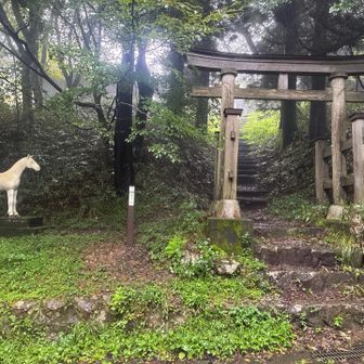 頂上のに続く