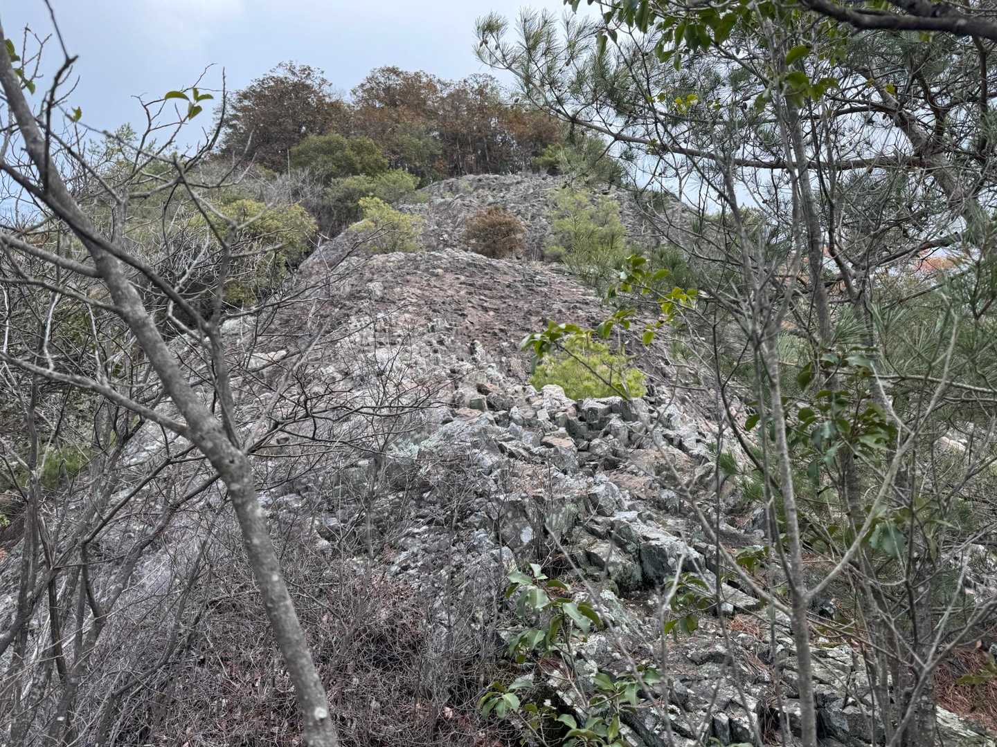 七種薬師-十字峰-岩ヶ谷山 周回コースの写真