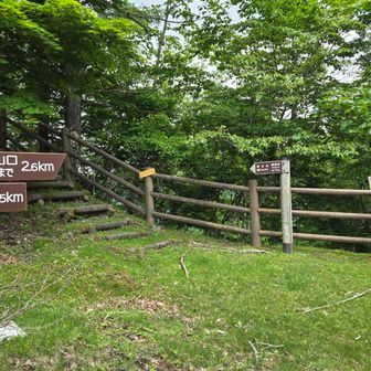 櫛形山にも行ける