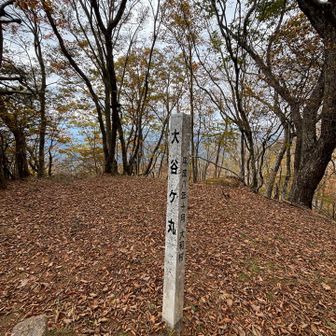 ここからブルーテープなくなり
滝子山まで落ち葉で不明瞭