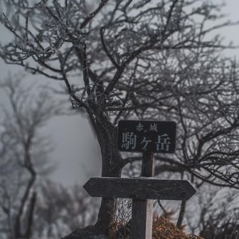 駒ケ岳も雲に日差しが遮られる