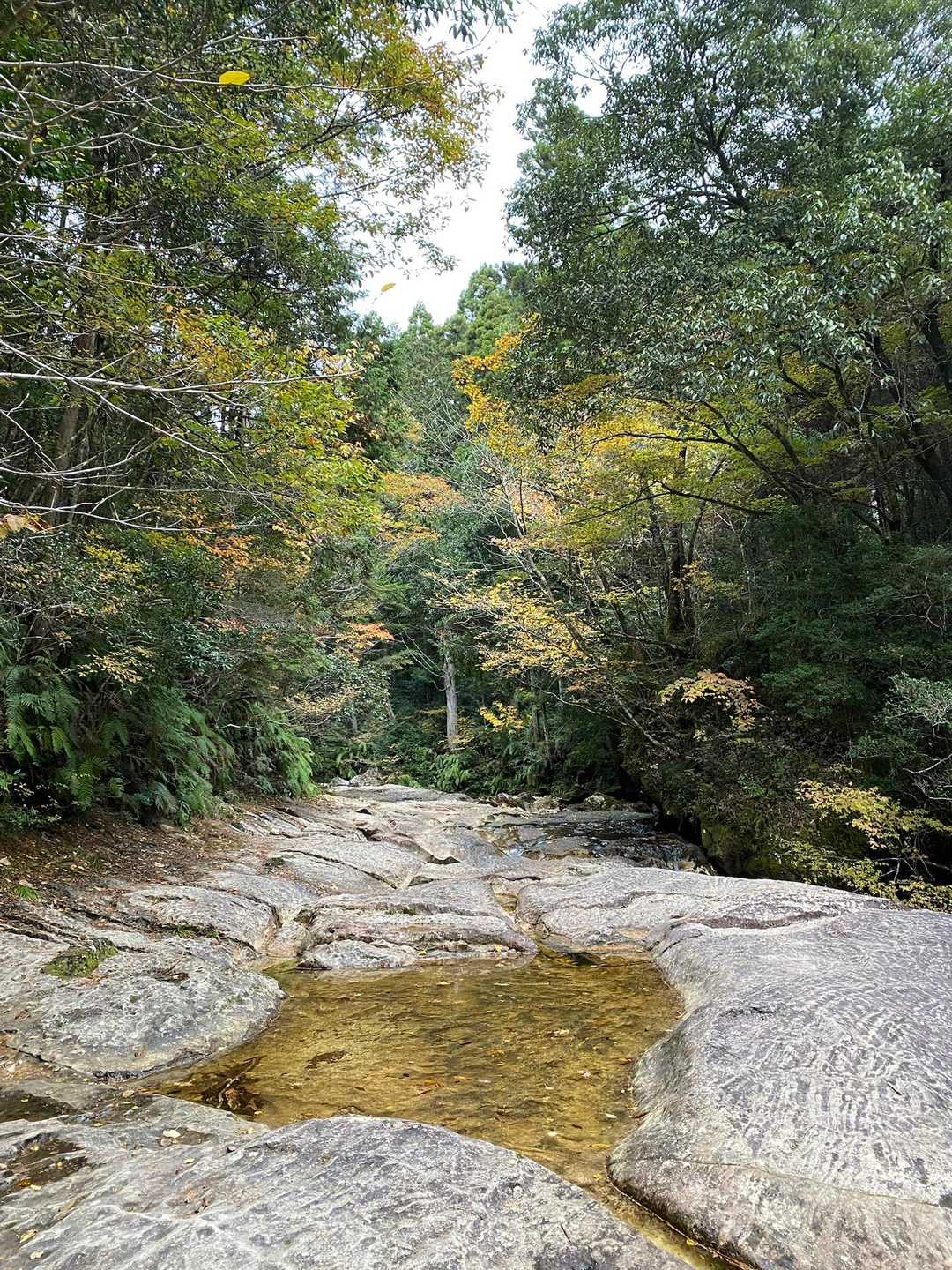 川底も岩な地域