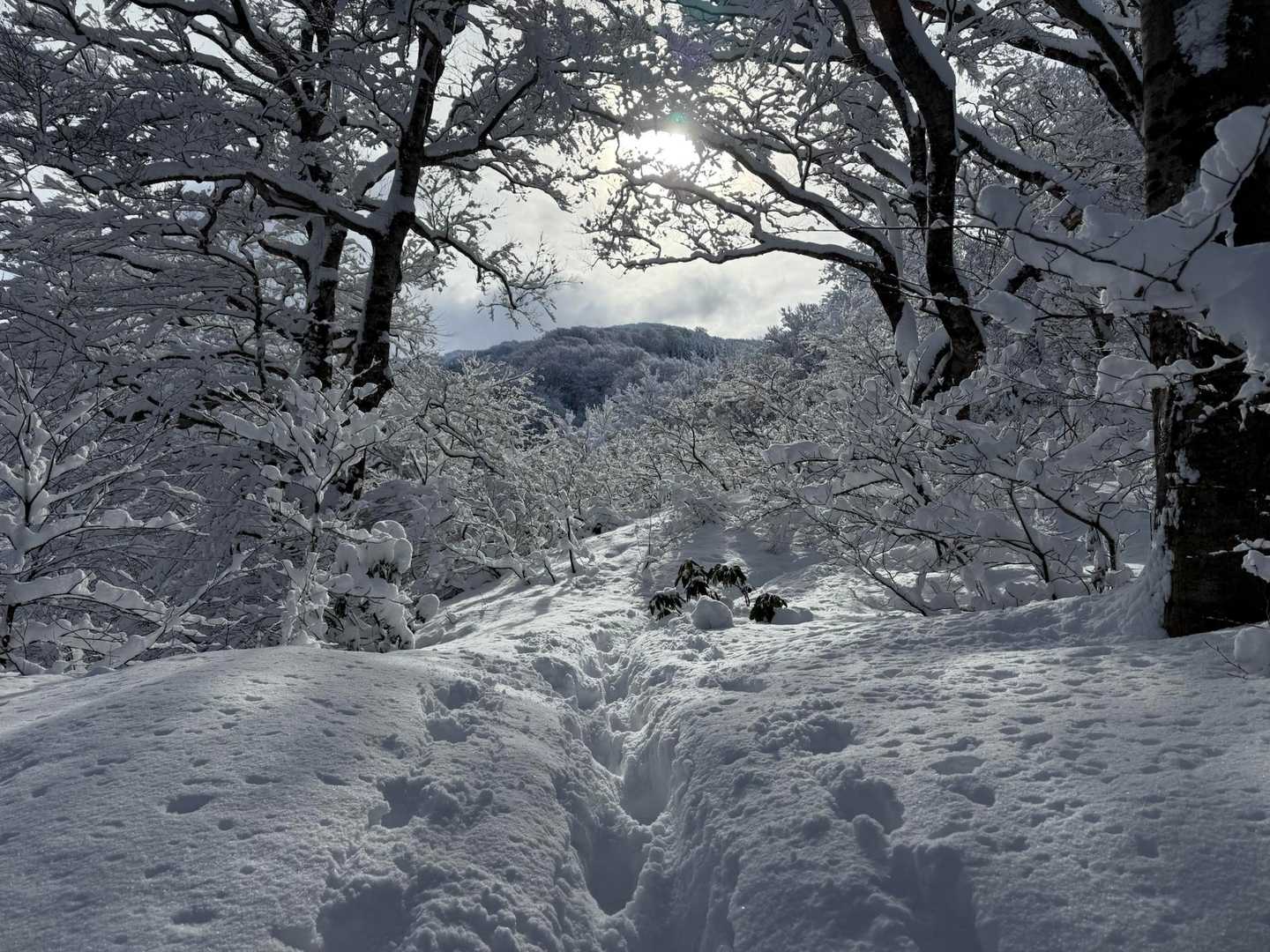 同じ
天気は穏やかです