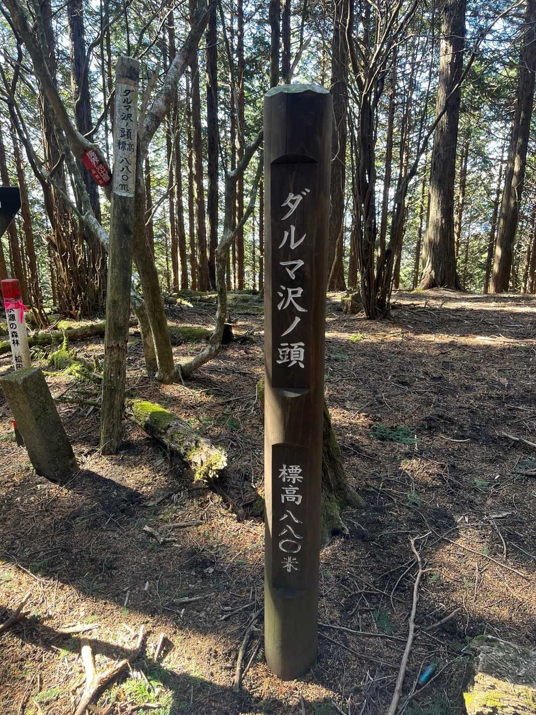 寄バス停-シダンゴ山登山口-シダンゴ山-ダルマ沢ノ頭-桜丸 周回コースの写真