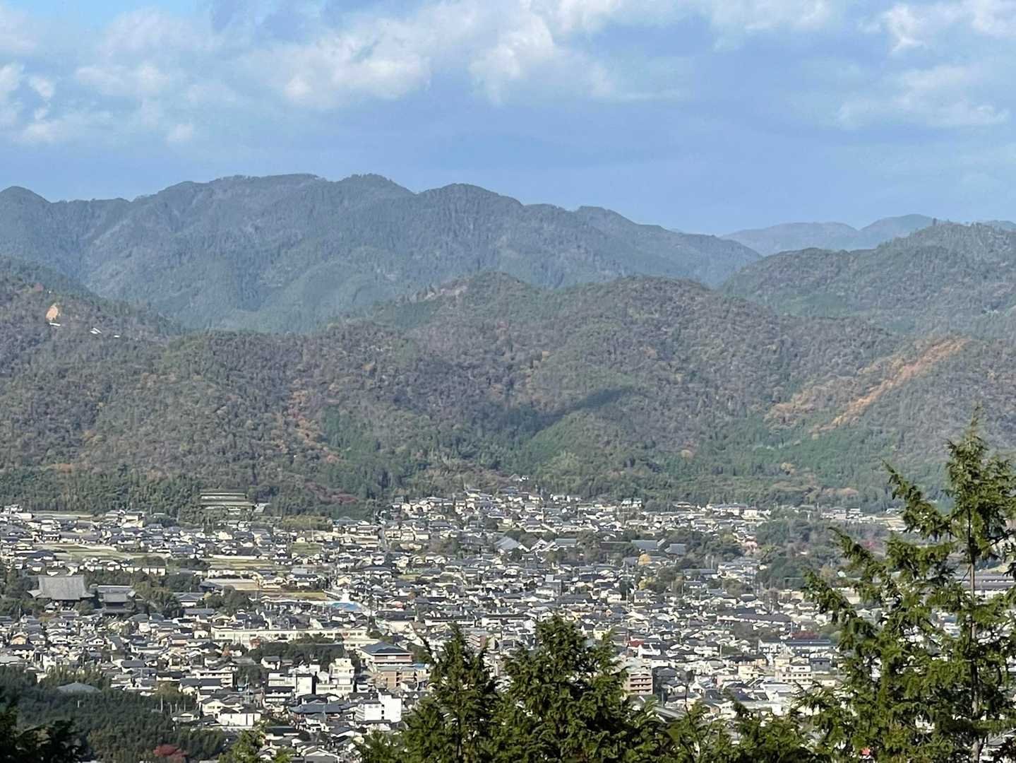 景色が開けました