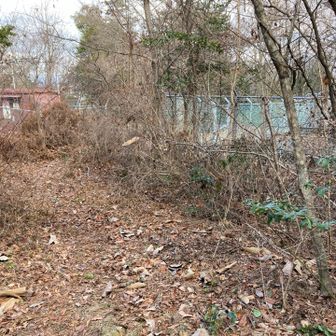 双子山二つ目。　一つ目も、ここも表示無し