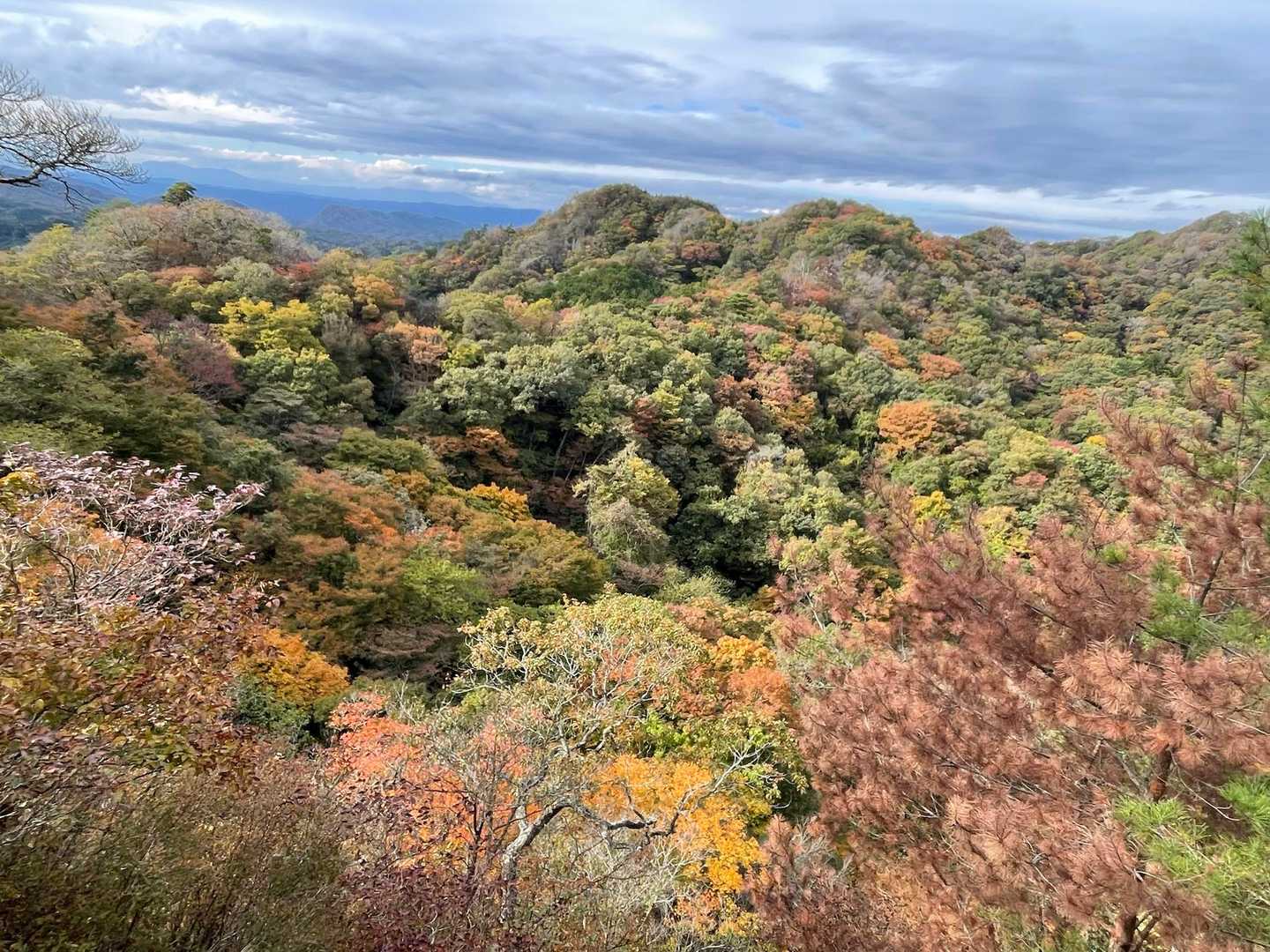 めっちゃ幸せ感じた景色

日本に生まれてよかったー！