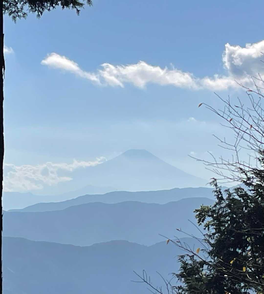 ベンチあり。ここから富士山うっすら見えた。次来る時はここでランチもいいかも！