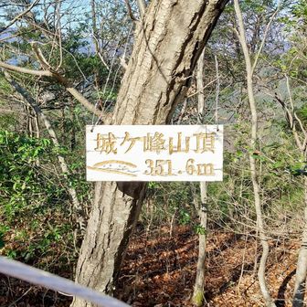 
城ヶ峰 山頂標識 - 2
金文字 が 輝いていました ✨
