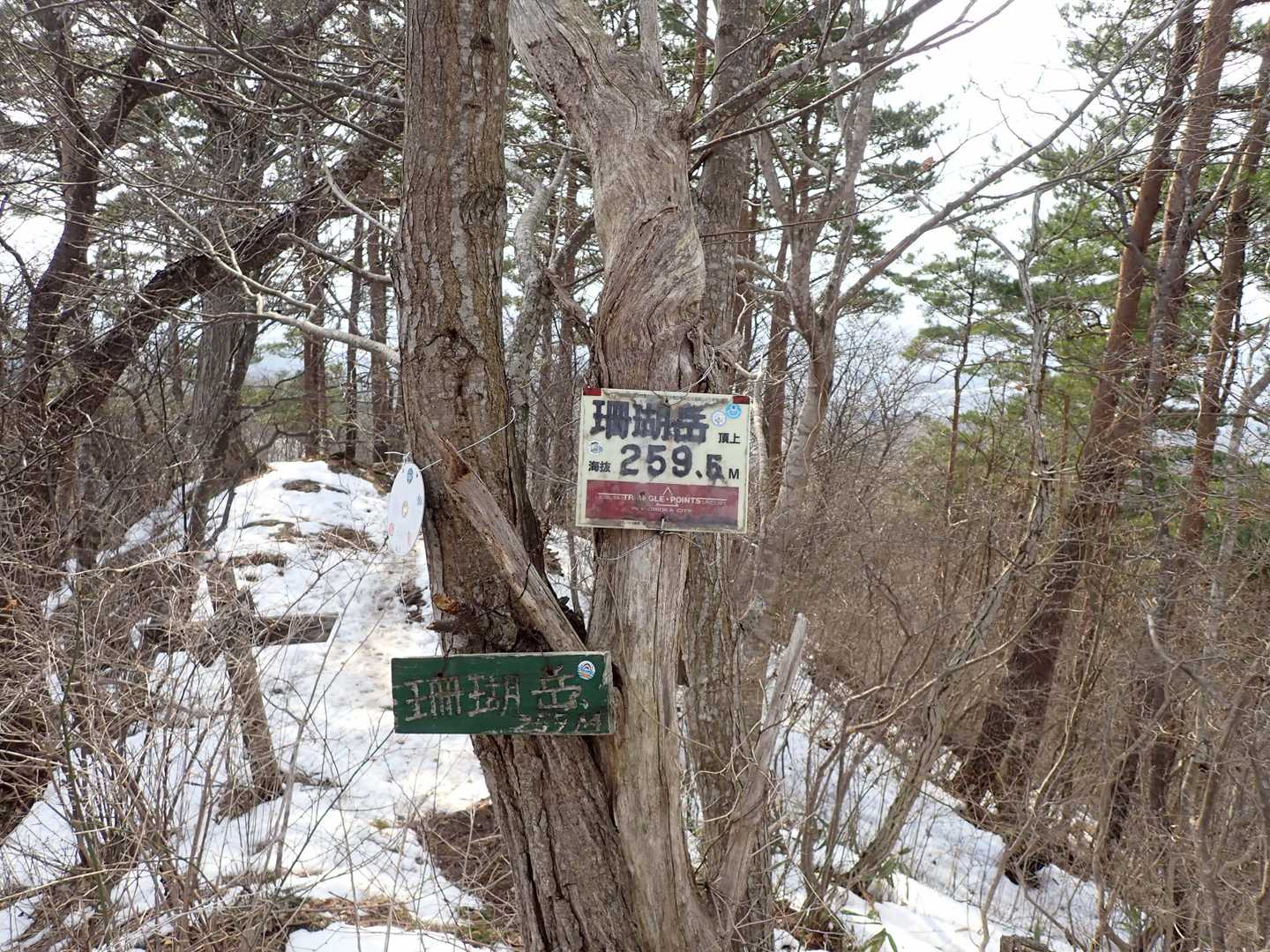 珊瑚岳-極楽寺 周回コースの写真
