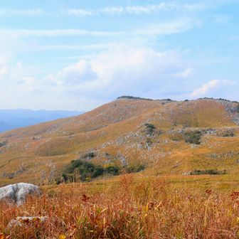 岩山から大平山