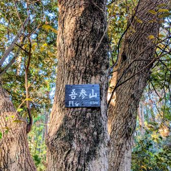 53だからごさんやまかな