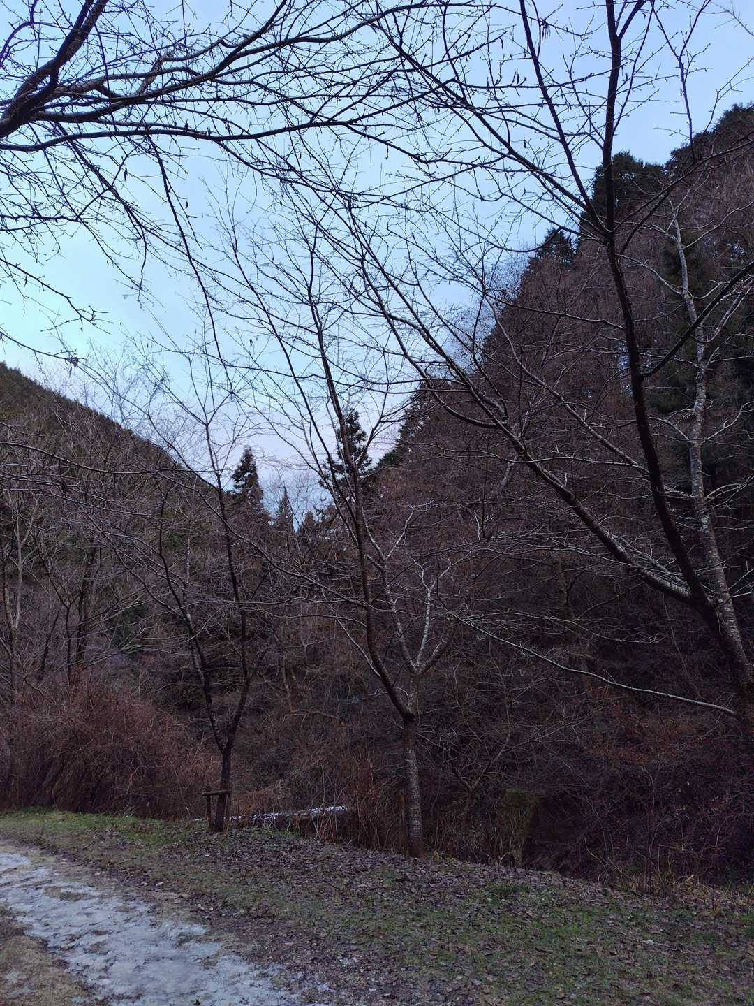 降りてきました。
だんだんと晴れて来ました。