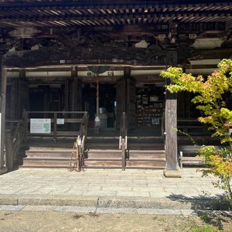 施福寺にトウチャコ