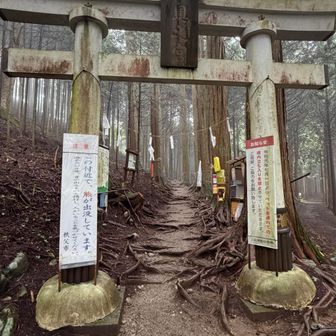 登山口
