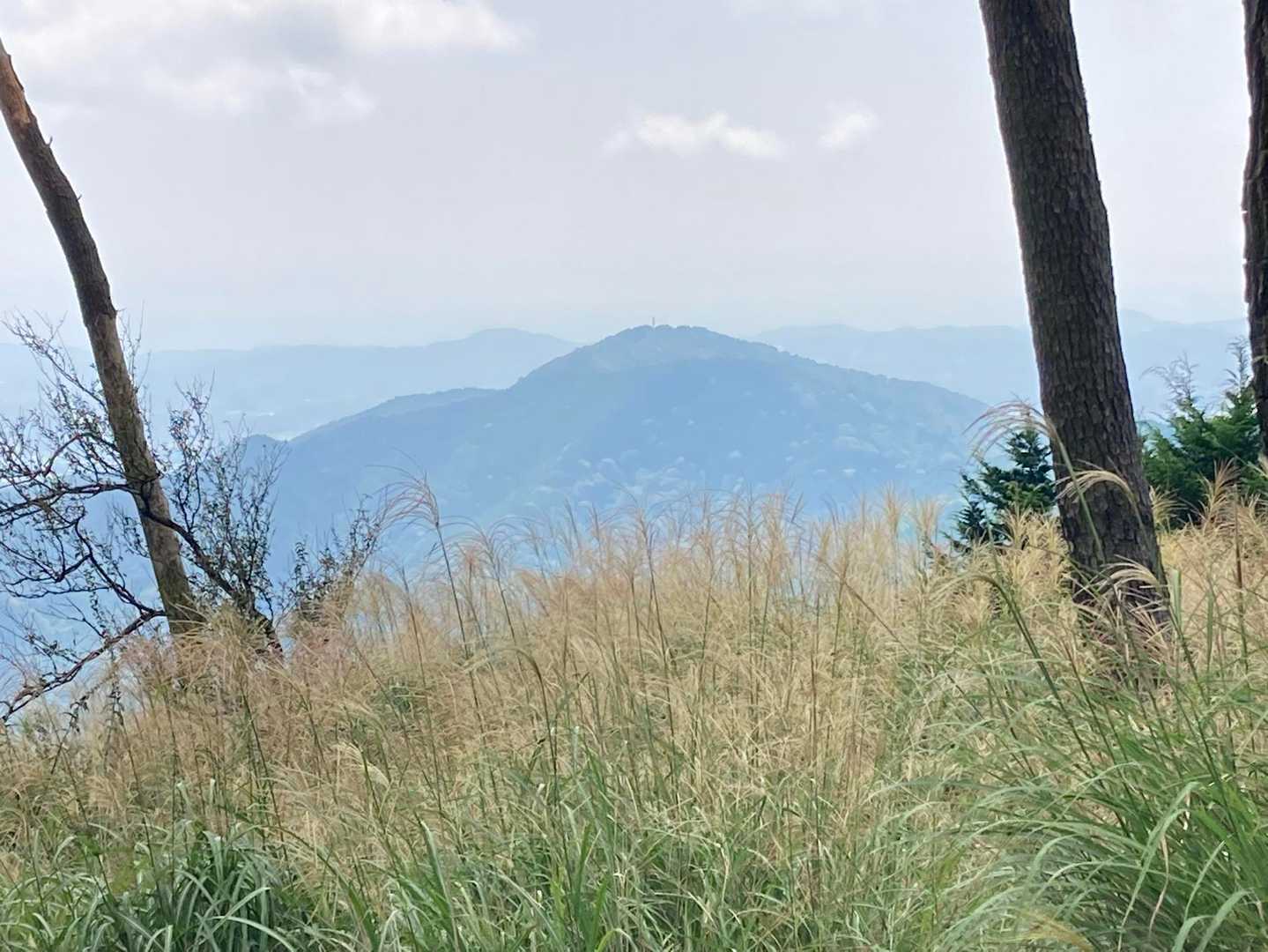 残暑厳しく、まだまだ暑っついけど
ススキ見ると秋なんだなぁと。
