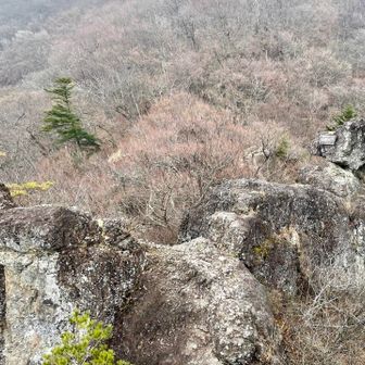 天狗のひょうてい上がって、来た道を見下ろしたところ
