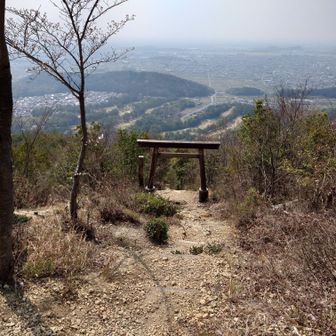 権現山の鳥居⛩️