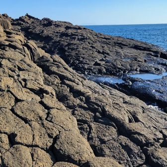 ふぅ💦
俵磯とは良く言ったもんだ