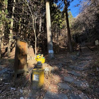 舗装路をしばらく歩いて登山口