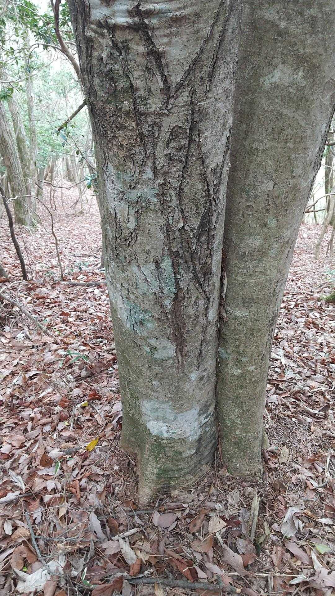 😨