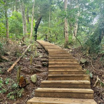 階段！
階段も久しぶり。
心肺がヤバくてヤバかったw