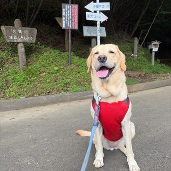 がんばったでしょ！の顔