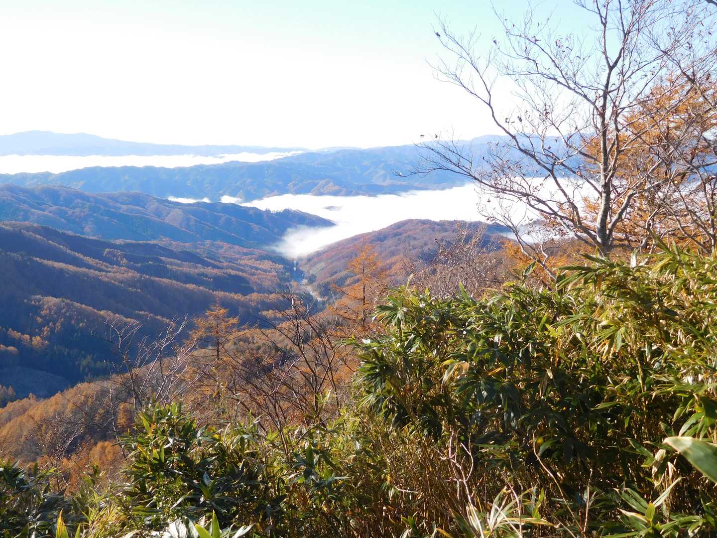 猪臥山散策道入口-猪臥山 周回コースの写真