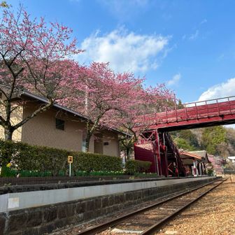 名残り惜しいが帰りまぁ~~~す👋