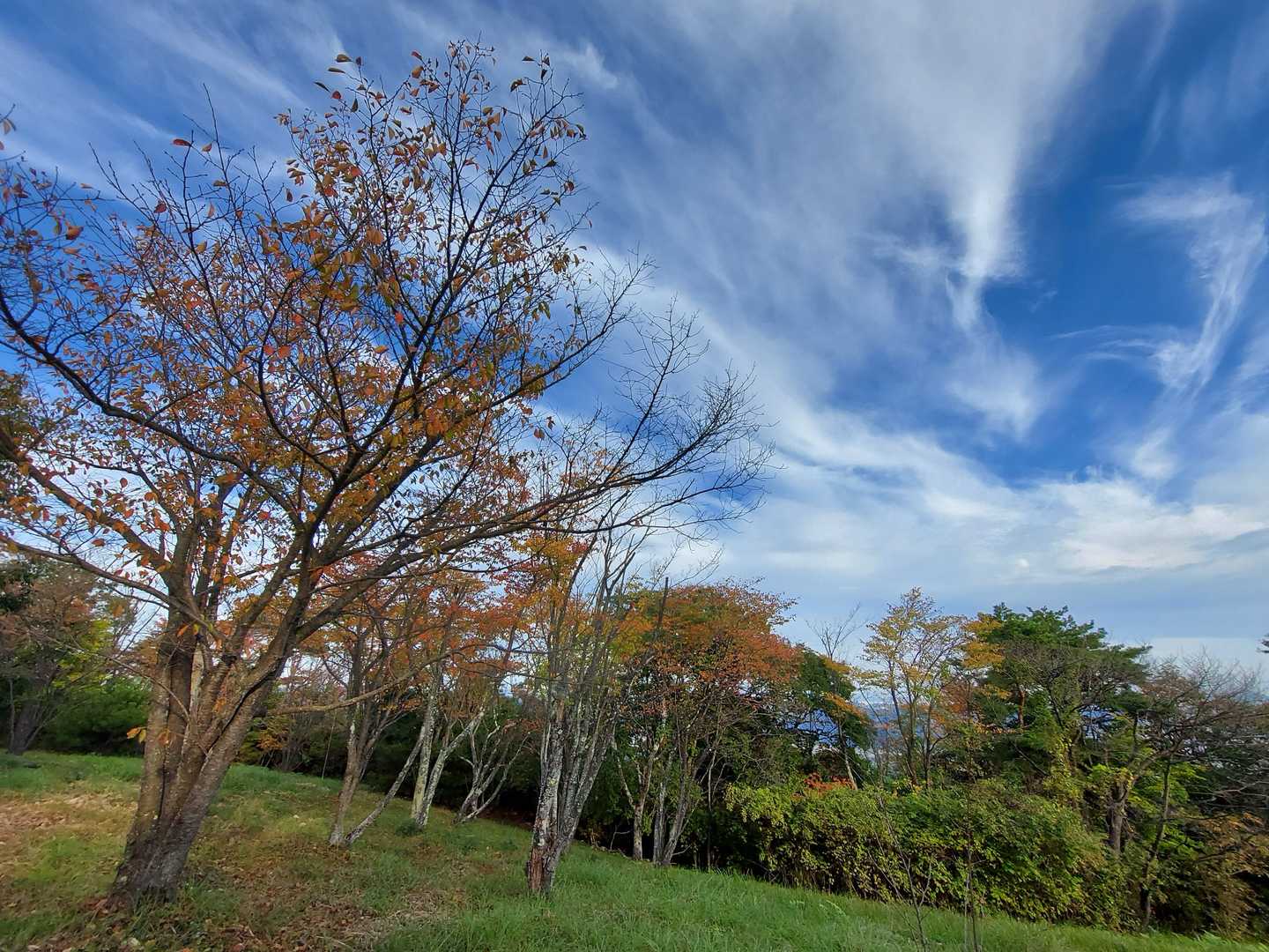 山頂広場に 広がっていたから✨
あれ😃 見たい🎵とか言ってね～😜💦
