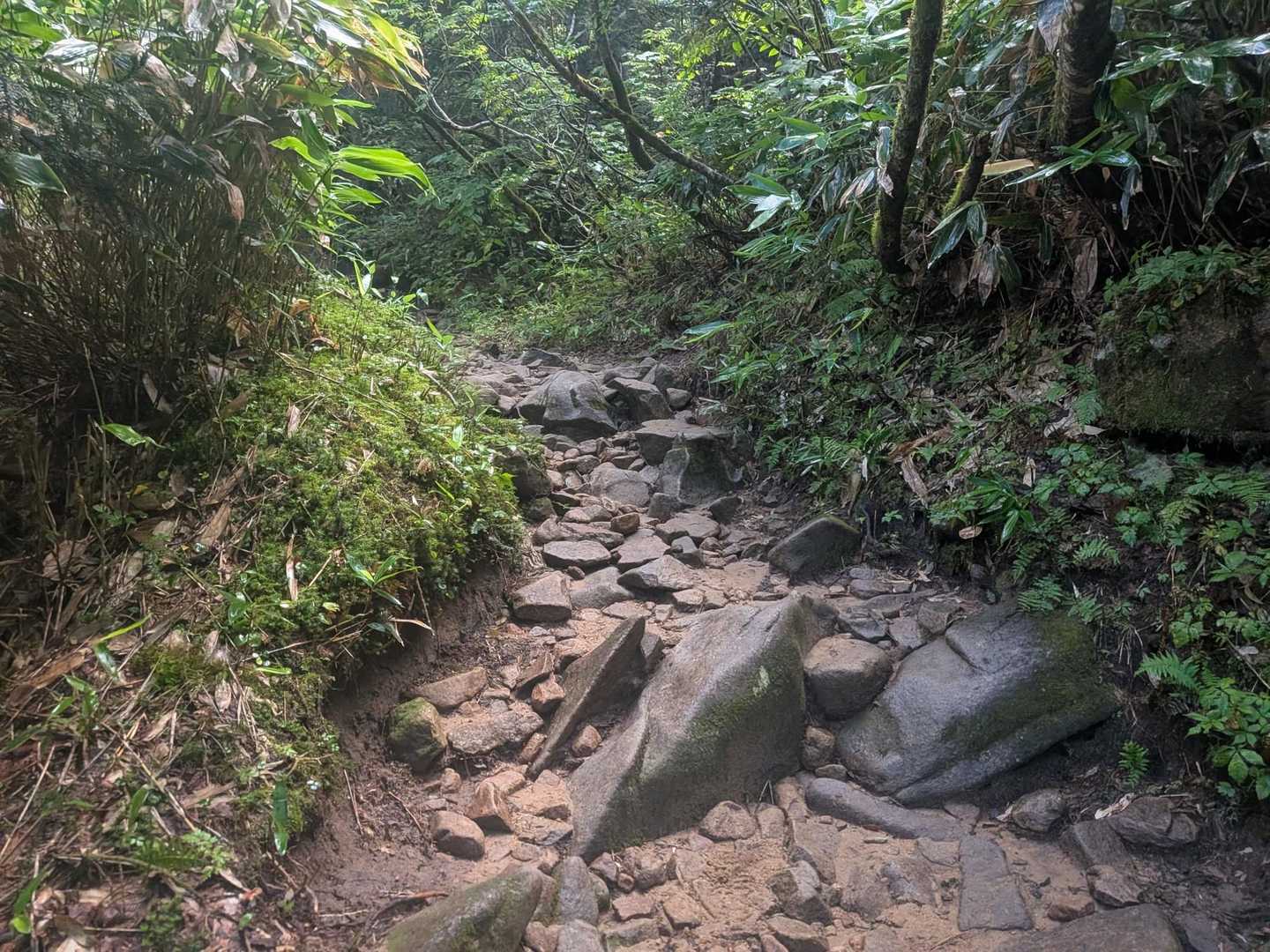 スタートから西穂山荘までの道は登りも下りも結構厳しい。
アップダウンが多くて地味に疲れます。