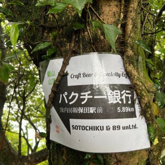パクチー銀行てなんや？調べたら銀行の跡地をリノベして作ったセンスあるカフェみたい！行きたい🌿