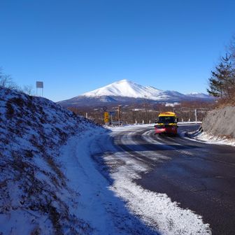 登山口の時点で絶景✨