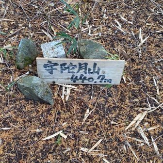 本日1座目の宇陀月山 440.7m