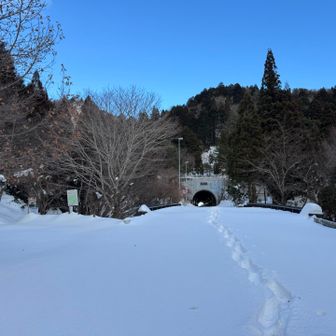 帰って来ましたー