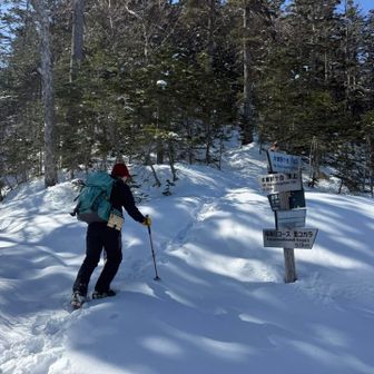 さて、ここからがまた急登！今回は途中で引き返さずピークまで頑張ります！