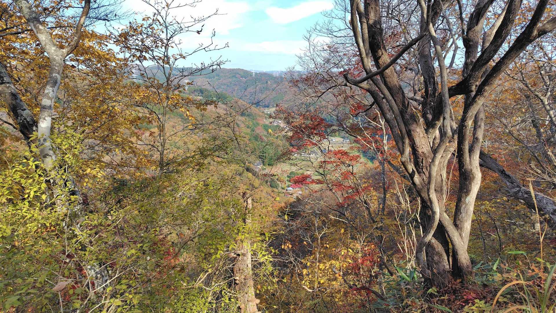 大瀬園地-鎌倉山 往復コースの写真