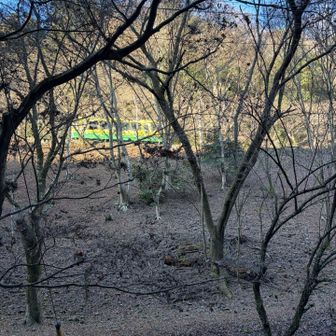 生駒山のブルとミケを彷彿と...