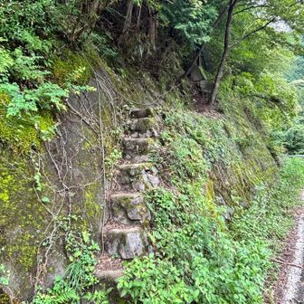 北東尾根の取り付きは白谷沢登山口から100mくらい先の道路沿い　階段があります