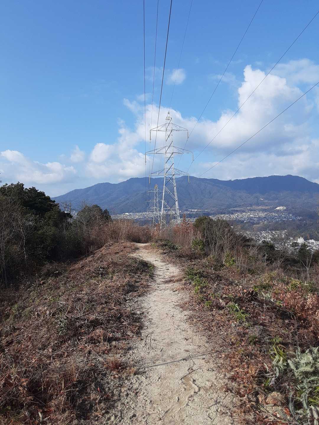 極楽寺山