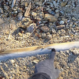 霜が降りてますね