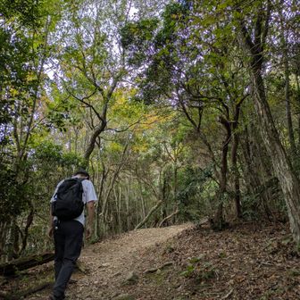 山頂まで後少し⋯。
ほんのり木々も色付いてきました🍂