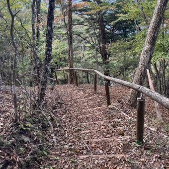 ここまで結構雑な登山道だったのに急に階段が出現