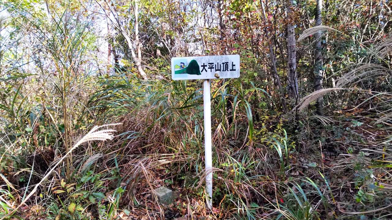 大平山山頂
三角点あるけどボーボー
次へ❗